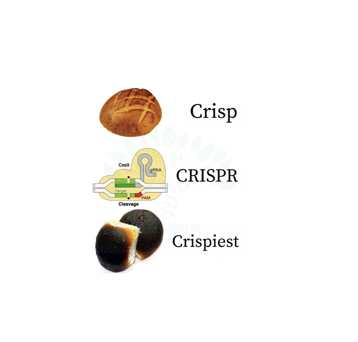 Which one 🤷‍♀️#CRISPR