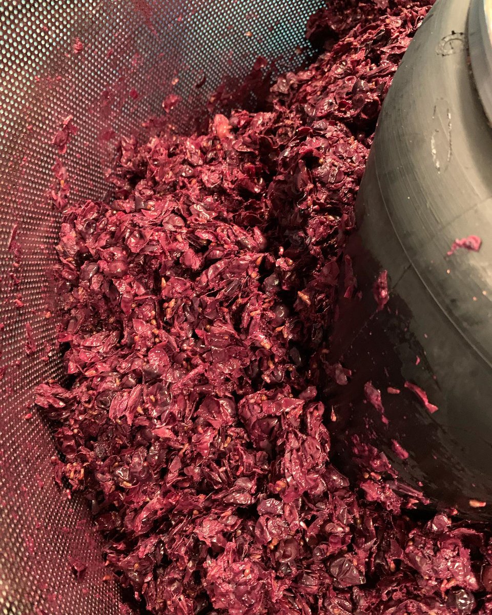7_birches_wine's tweet photo. Some behind the scenes shots of pressing the South African Pinotage we call Harmony. Can’t wait to try it! https://t.co/jzQJH6hgnx