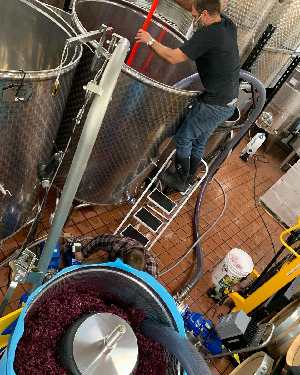 7_birches_wine's tweet photo. Some behind the scenes shots of pressing the South African Pinotage we call Harmony. Can’t wait to try it! https://t.co/jzQJH6hgnx