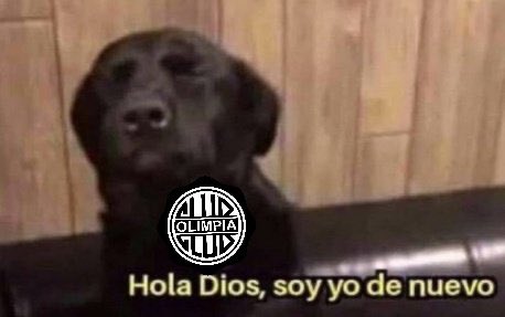 SergioTraverssi's tweet image. Día de Copa. Olimpia vuelve a depender de sí mismo, pero juega en la altura y con un equipo lleno de dudas.

Igual estoy en modo...