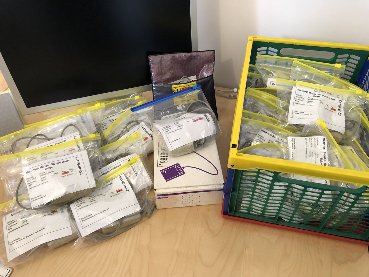 pfreney's tweet photo. All my Apple DB-9 mice have been tested.
Apple IIc, Apple IIe, Lisa and Macintosh mice.
Only five of fifty are malfunctioning.
https://t.co/E9eRxRH5kA
#applemouse #mouseapple #macintoshmouse #macmouse #appleiic #appleiigs
#lisa #applelisa #macintosh #mouse #oldmouse #arduino https://t.co/0yZJPpTmta