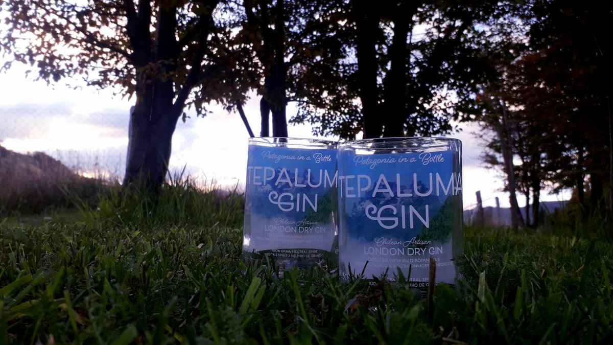 alexpatagonia's tweet photo. Excelente trabajo y hermoso resultado de los amigos de #ecoglasspatagonia 💪👏👏
Emprendimiento de la #RegiondeAysen ecoreutilizacion y reciclaje, prefieralo Ud.! 👌✊🏼
Mis 2 vasos de @Tepaluma1 quedaron tremendos! 
💚🌳🌱♻️#ecoreutilizables #reciclaje #reutilizacion #coyhaique https://t.co/iACKubRfSj