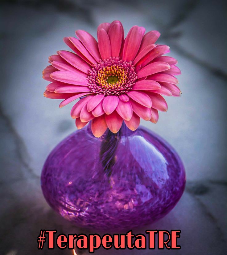 🌤🌞
#TerapeutaTRE 
#AngelicsTips
#Terapia
#Holistico
 ╲\ ╭┓
╭ 🌸╯
┗╯\╲
🌼🌸Buen Día¡ 🌞
🌸@TerapeutaTRE
🌼º<a href="/halconavicencio/">🌹❤️ELENA MIRANDA V.❤️🌹#E̲l̲e̲M̲i̲r̲a̲n̲d̲a̲</a>
🌸<a href="/legal_legal69/">Juan Perez 🧰🧰🔧🔧🪒🪒</a>
🌼º<a href="/HalconaUFF/">♥️Elena Amelia M ♥️#𝔻𝕖𝕁𝕒𝕡𝕠𝕟𝔸𝕣𝕚𝕘𝕒𝕥𝕠🌸</a>
🌸<a href="/Deslegal1/">🌻🌷Fabiola🌷🌻</a>
🌼º<a href="/AlfonsinNilda/">nilda alfonsin 🇦🇷</a>
🌸<a href="/Amg22_/">AMOR FRATERNO</a>🌸

🌞M.Agelic😇: Va a tardar, pero se va a andar, lo sé.