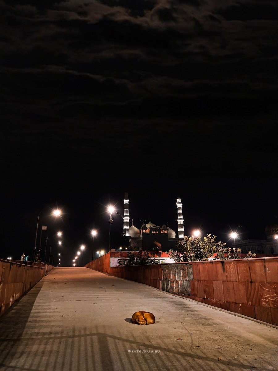 Celebrate this Eid with your family and friends because it is not just Eid, it's a day of togetherness. 🌍🌺 
-
-
-
#HappyEid #eidmubarak2021 #EidMubarak #IdulFitri #IdulFitri #EidUlFitr #foto_wala_hu #fotowalahu