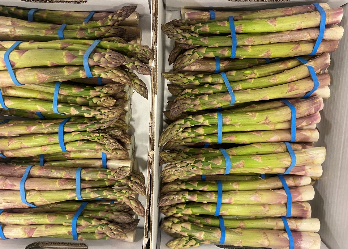 The first delivery of the Sand Hutton Asparagus has arrived!