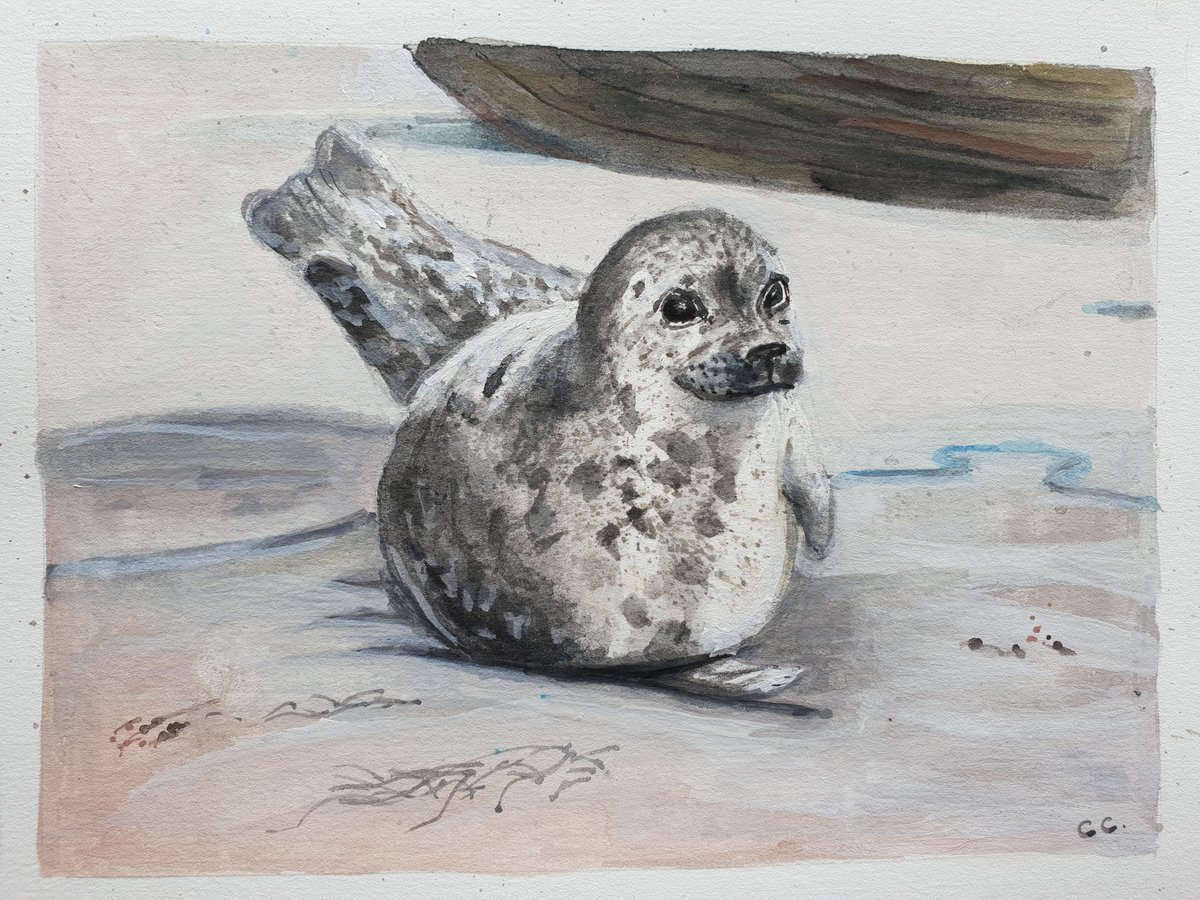 clephelapod's tweet photo. working on a much smaller scale today #gouache #sealpainting #harbourseal https://t.co/uHaCcTA7RR