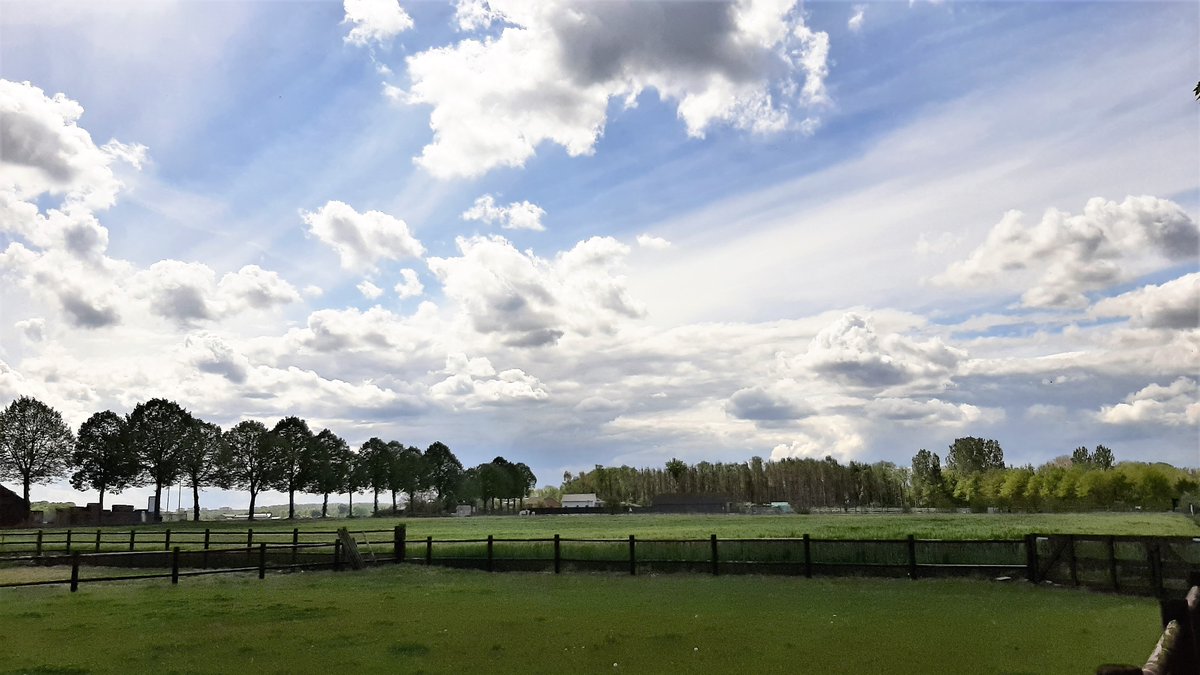 inja5248's tweet photo. #Peij #MiddenLimburg
foto 1. vanochtend 9:43 uur
foto 2. vanochtend 11:56 uur
foto 3. #Slek vanochtend 11:06 uur
alleen dreigende lucht...droog met stevige wind
@hetweerlokaal
@SevereWeather_N
@MeteoLimburg
@Talpaweer
@weeronline
@Weerplaza
@helgavanleur
@Weerplaza https://t.co/eGdp1t4kg1