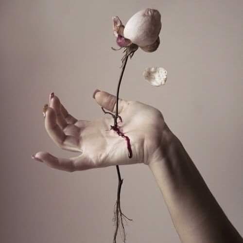 Hasta lo más hermoso lastima