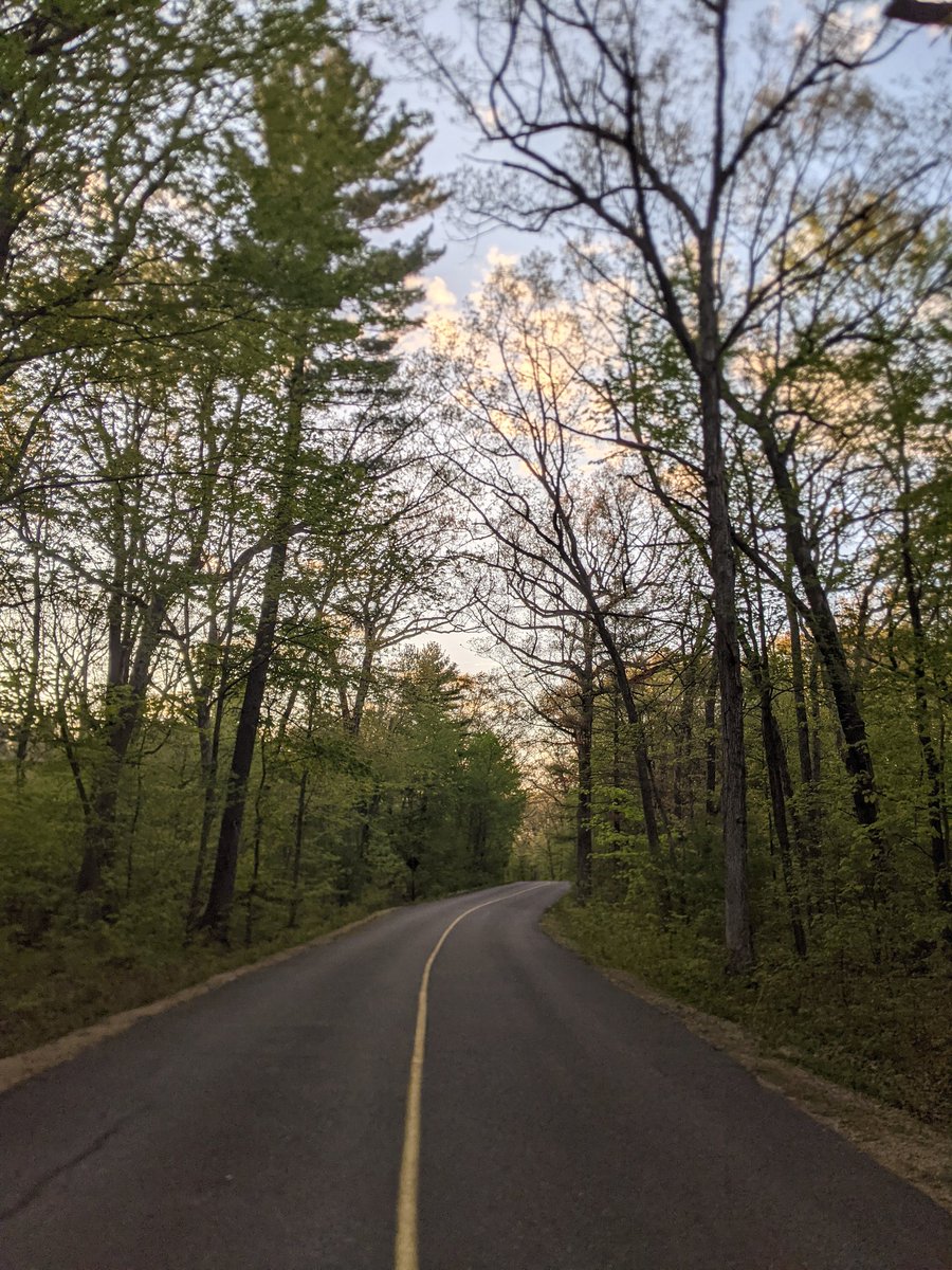 saracpc30's tweet photo. #rockyarborstatepark #statepark #wisconsindells #dellsduo https://t.co/cjl6voRpMa