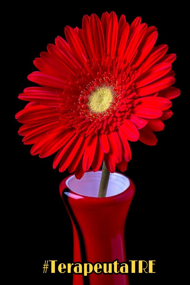 <a href="/AlfonsinNilda/">nilda alfonsin 🇦🇷</a> @TerapeutaTRE <a href="/legal_legal69/">Juan Perez 🧰🧰🔧🔧🪒🪒</a> <a href="/HalconaUFF/">♥️Elena Amelia M ♥️#𝔻𝕖𝕁𝕒𝕡𝕠𝕟𝔸𝕣𝕚𝕘𝕒𝕥𝕠🌸</a> <a href="/Deslegal1/">🌻🌷Fabiola🌷🌻</a> <a href="/Amg22_/">AMOR FRATERNO</a> 🌤🌞
#TerapeutaTRE 
#AngelicsTips
#Terapia
#Holistico
 ╲\ ╭┓
╭ 🌸╯
┗╯\╲
🌼🌸Buen Día¡ 🌞
🌸@TerapeutaTRE
🌼º<a href="/halconavicencio/">🌹❤️ELENA MIRANDA V.❤️🌹#E̲l̲e̲M̲i̲r̲a̲n̲d̲a̲</a>
🌸<a href="/legal_legal69/">Juan Perez 🧰🧰🔧🔧🪒🪒</a>
🌼º<a href="/HalconaUFF/">♥️Elena Amelia M ♥️#𝔻𝕖𝕁𝕒𝕡𝕠𝕟𝔸𝕣𝕚𝕘𝕒𝕥𝕠🌸</a>
🌸<a href="/Deslegal1/">🌻🌷Fabiola🌷🌻</a>
🌼º<a href="/AlfonsinNilda/">nilda alfonsin 🇦🇷</a>
🌸<a href="/Amg22_/">AMOR FRATERNO</a>🌸

🌞M.Agelic😇: Va a tardar, pero se va a andar, lo sé.