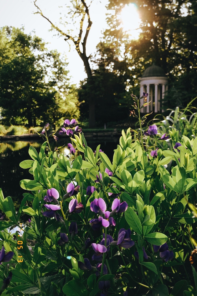 Why wake up early? This. This is why.