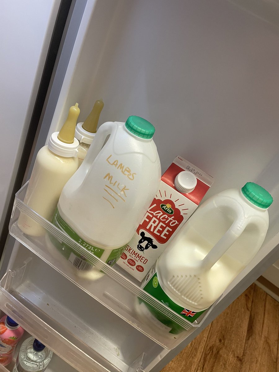 SmallholdersUK's tweet photo. Show me youβre a livestock farmer without actually telling me!! π this is me ππ»#fridge #notjustfood #milkshake #notmilkshake https://t.co/VecLFlsvzF