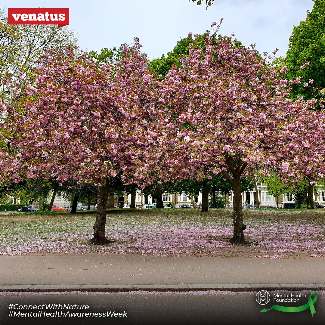 wearevenatus's tweet photo. This #MentalHealthAwarenessWeek the Venatus team has been taking time to connect with nature and learn new tools to help find balance. A big thank you to @mobgrouplive for their talk on building work, life, and digital boundaries. #connectwithnature #balance #wellbeing #selfcare https://t.co/honkWcnBti