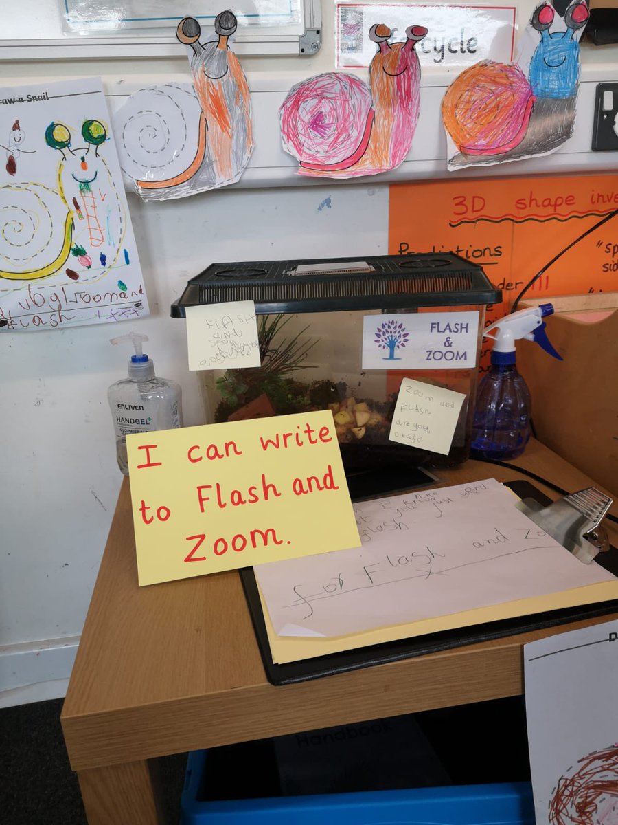 WathVictoria's tweet photo. F2 are loving looking after flash and zoom @USSsnails Today they have been writing them notes to check they’re ok 🐌 🐌 #TeamWV #curiosity https://t.co/YUVgvqSZ9M