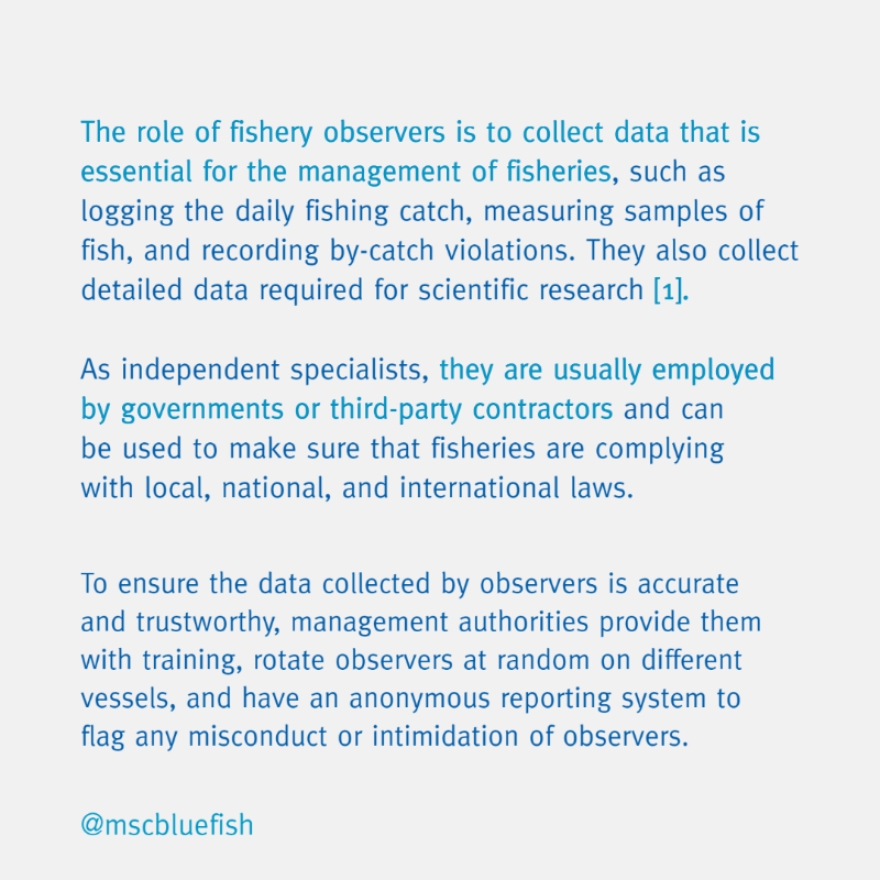 MSCbluefish's tweet photo. What is the role of a fishery observer?
Swipe to learn more about the important work they do at-sea and the new safety measures being discussed to help protect them.
#OceanStewardshipFund2021 #Fisheries #MSCcertification #TheMoreYouKnow