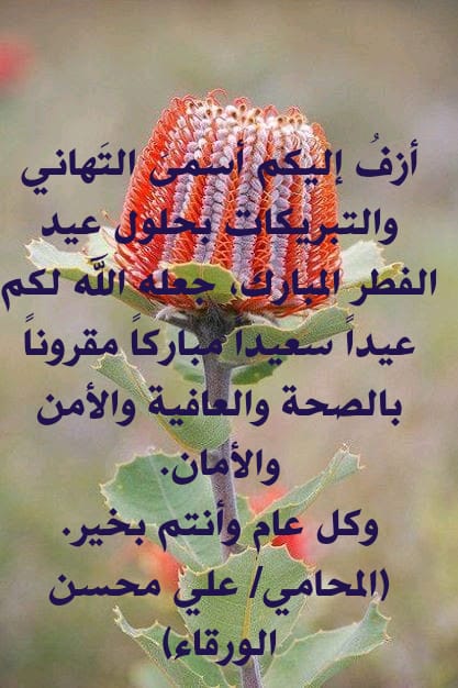 alialwarqaa's tweet photo. https://t.co/ljNK06OikB