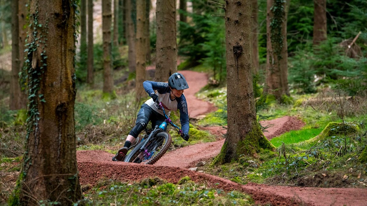 Forestry England tweet media