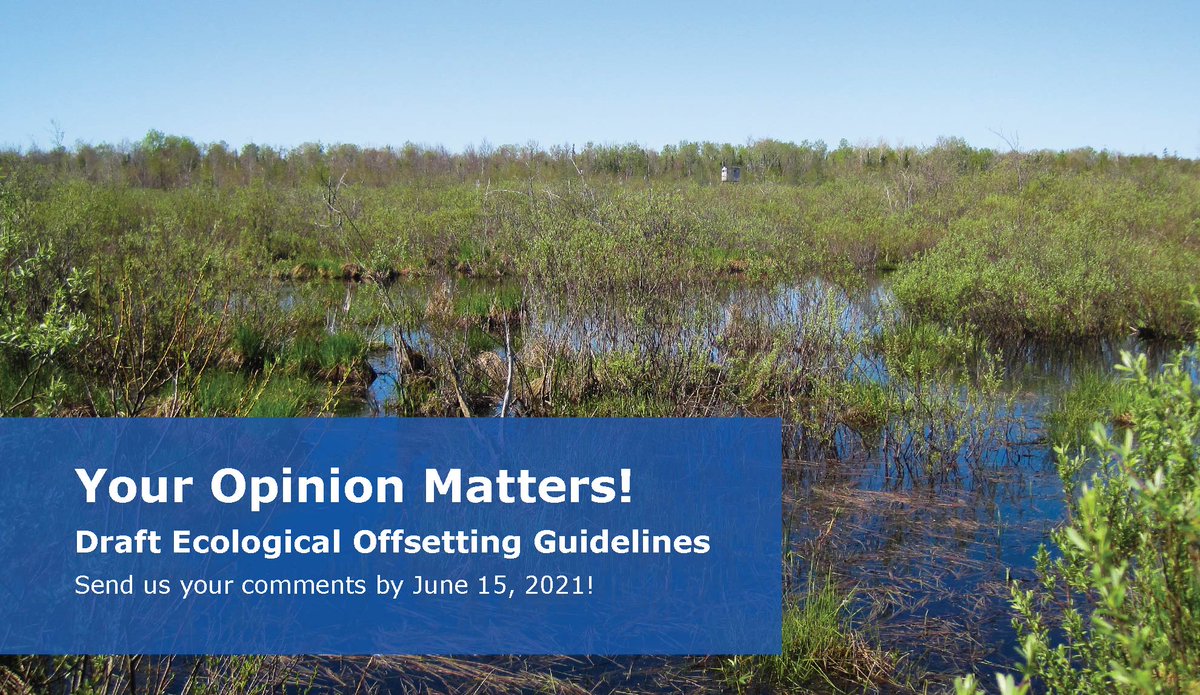 Nottawasaga Valley Conservation Authority tweet media