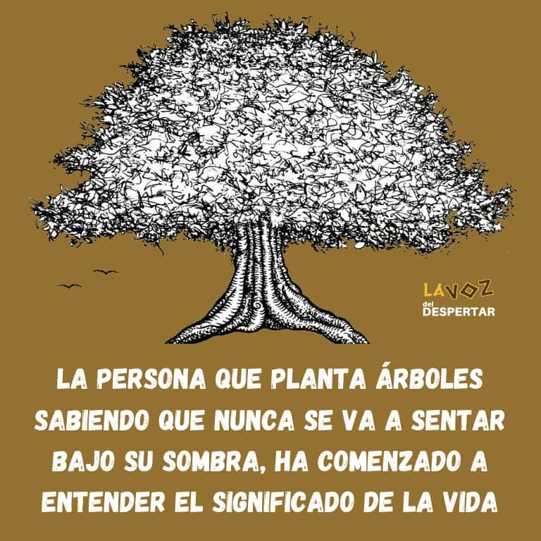 MeteoGerena's tweet photo. 🍁☘️💪 https://t.co/DWWv7Kmosj
