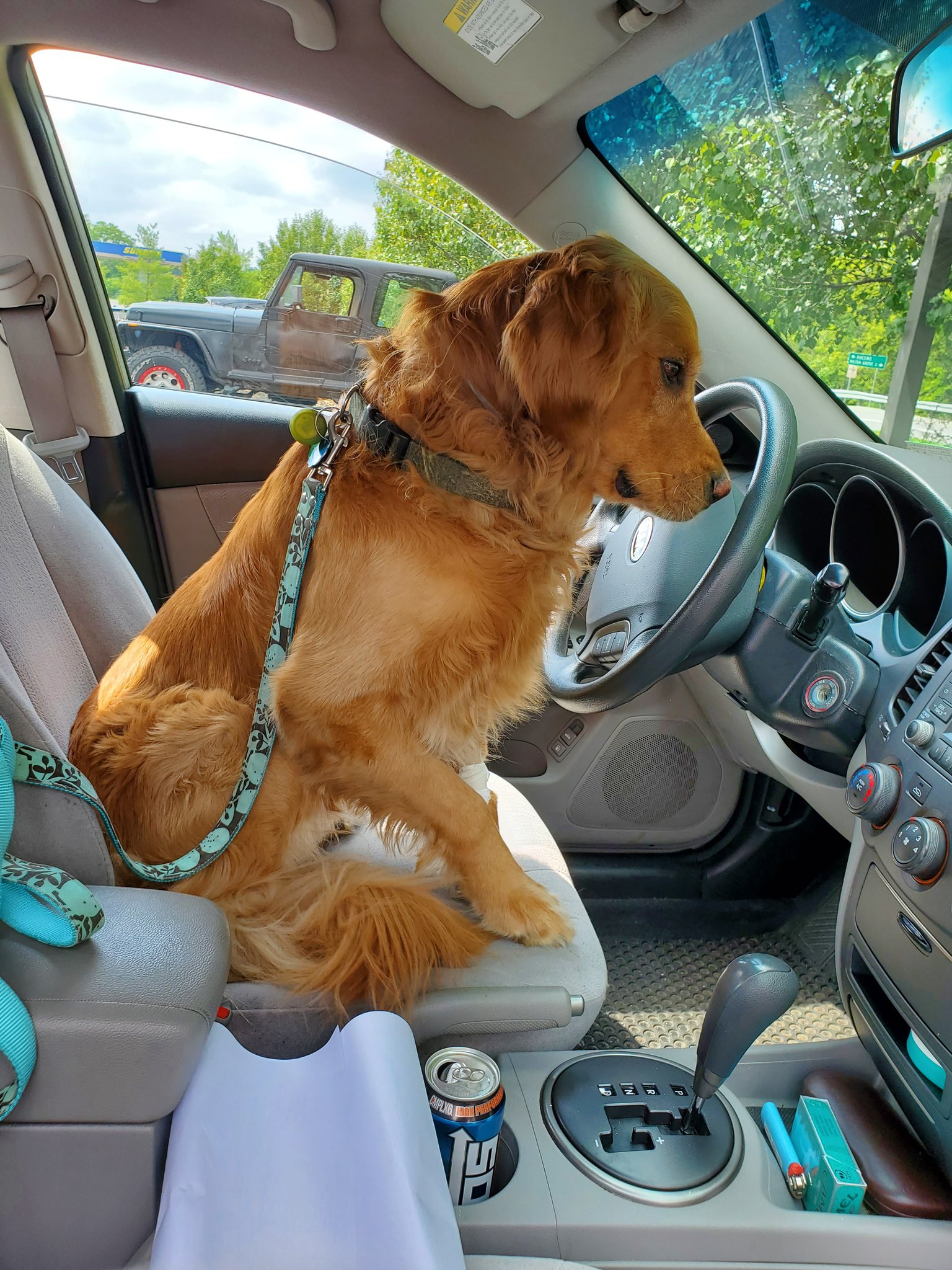 Sooo I guess your driving bak then? https://t.co/l7OYoBLMt5