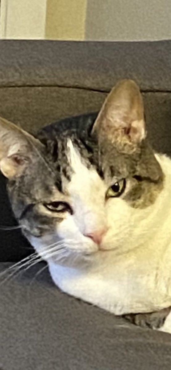 me &amp; daddy cuddling. who is enjoying it more?