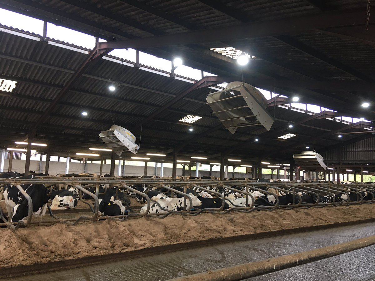 Just spent a great afternoon with Arla farmer Tim Price seeing once again that commercially successful so-called conventional farming and amazing conservation can and very often do go hand in hand. @arlafoodsuk #forwardthinkingdairy