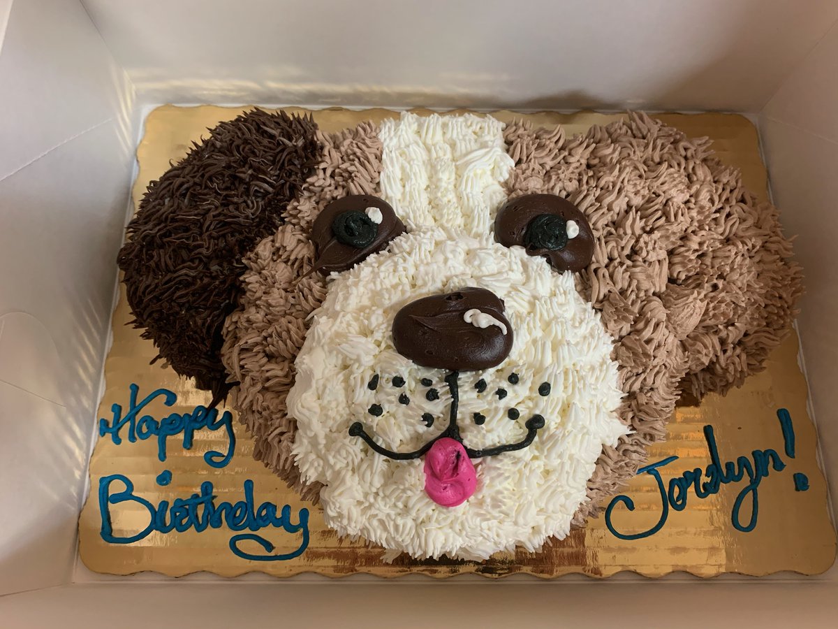 Jordyn Cohn's Cute Puppy Cake!
#SAENailedit