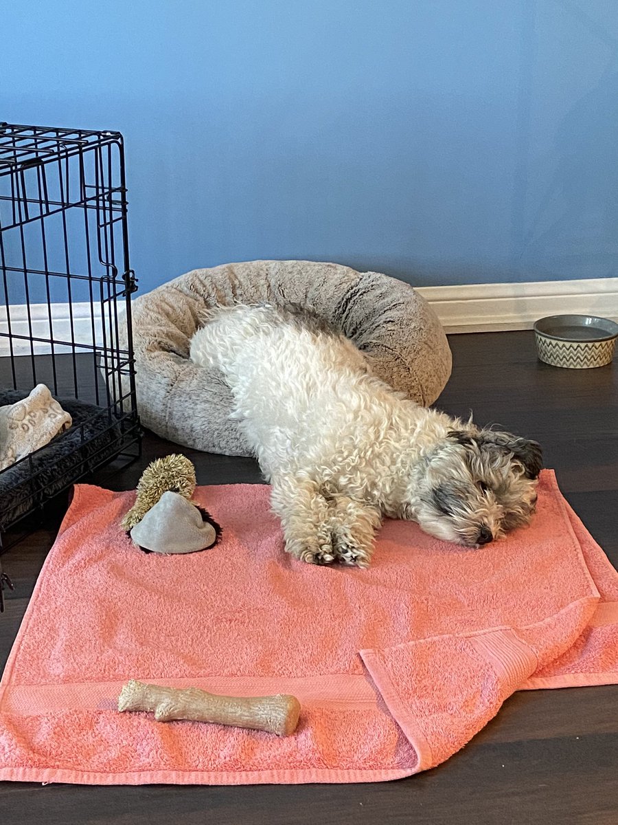 Maggie (she/her) tweet media