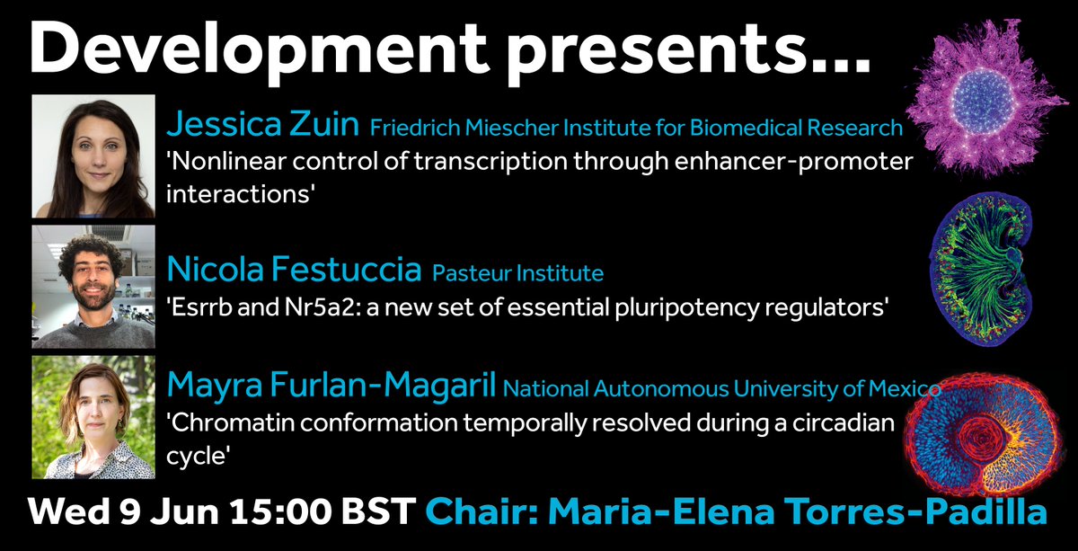 Our next #DevPres webinar will be on Wed 9 June, chaired by our Editor Maria Elena Torres-Padilla (<a href="/METorresPadilla/">ME Torres-Padilla</a>) &amp; feature 3 talks on epigenetics and chromatin from Jessica Zuin, <a href="/NicolaFestuccia/">Nicola Festuccia</a> and Mayra Furlan-Magaril (<a href="/FurlanLab/">Furlan-Magaril_lab</a>). 
 
Register here: virtual.biologists.com/e/development-…