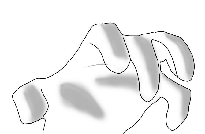 イカさんのtwitterイラスト検索結果