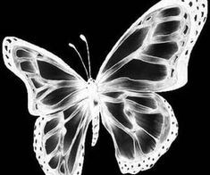 W3 W͟0И’7 $TOP T̶H3 Я4C!N9 ‘T1L !T’S O⃠V3R , L3T’5 9O  #JEZ ✦ 95 , ลฟตท