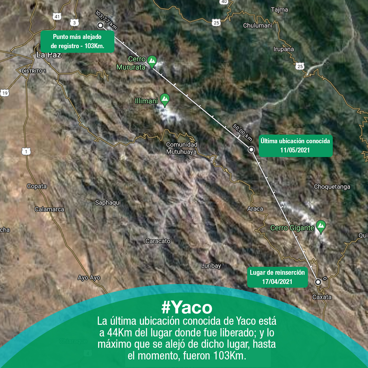 Dirección de Empresas, Entidades y Servicios tweet media