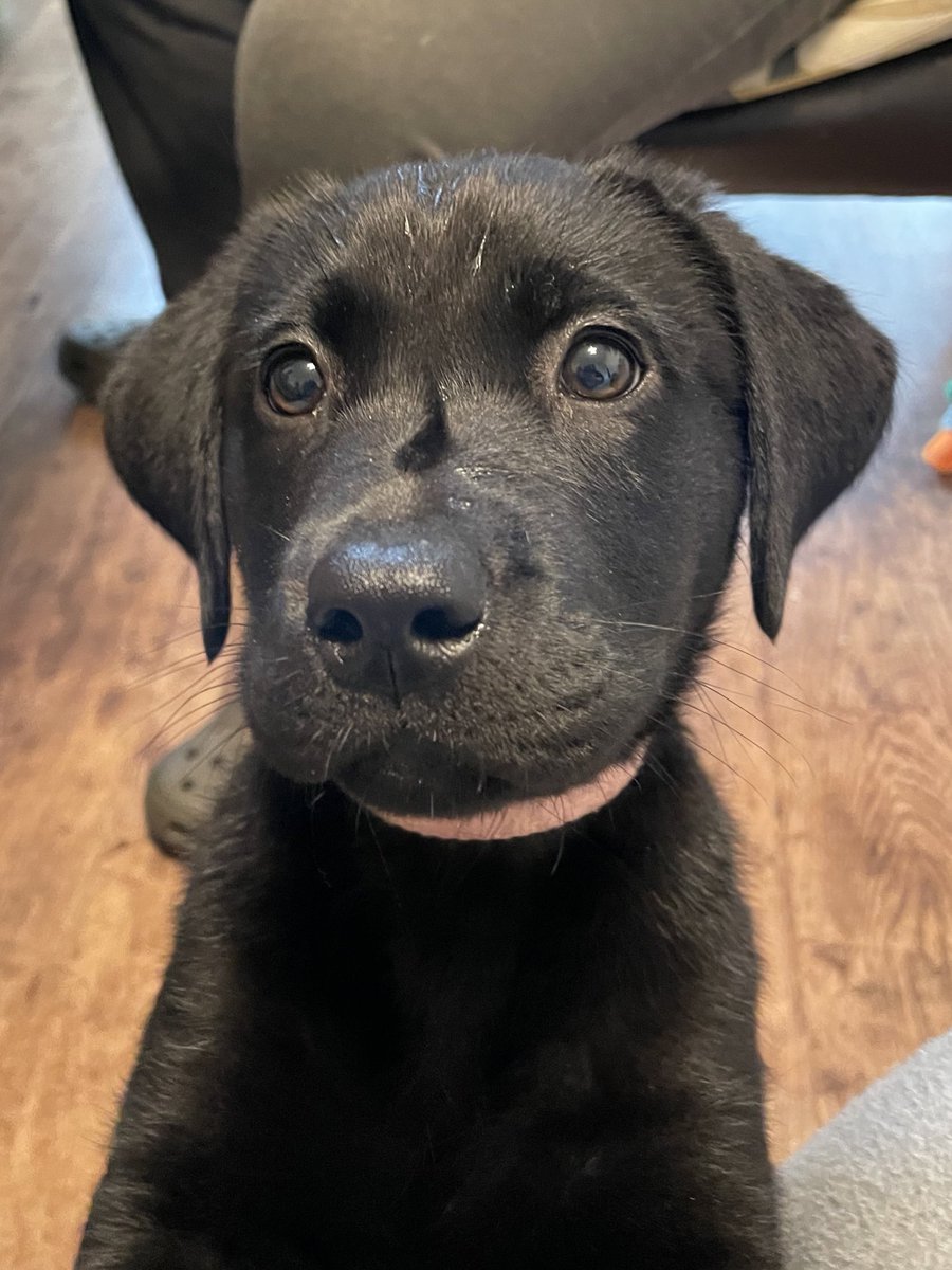 In the words of <a href="/KovicMusic/">Kovic</a> himself, I’ve been waiting for Mais all night all my life 🥺 she’s a huge fan of the new song btw, and can’t wait for everyone else to hear it 🥰🥰