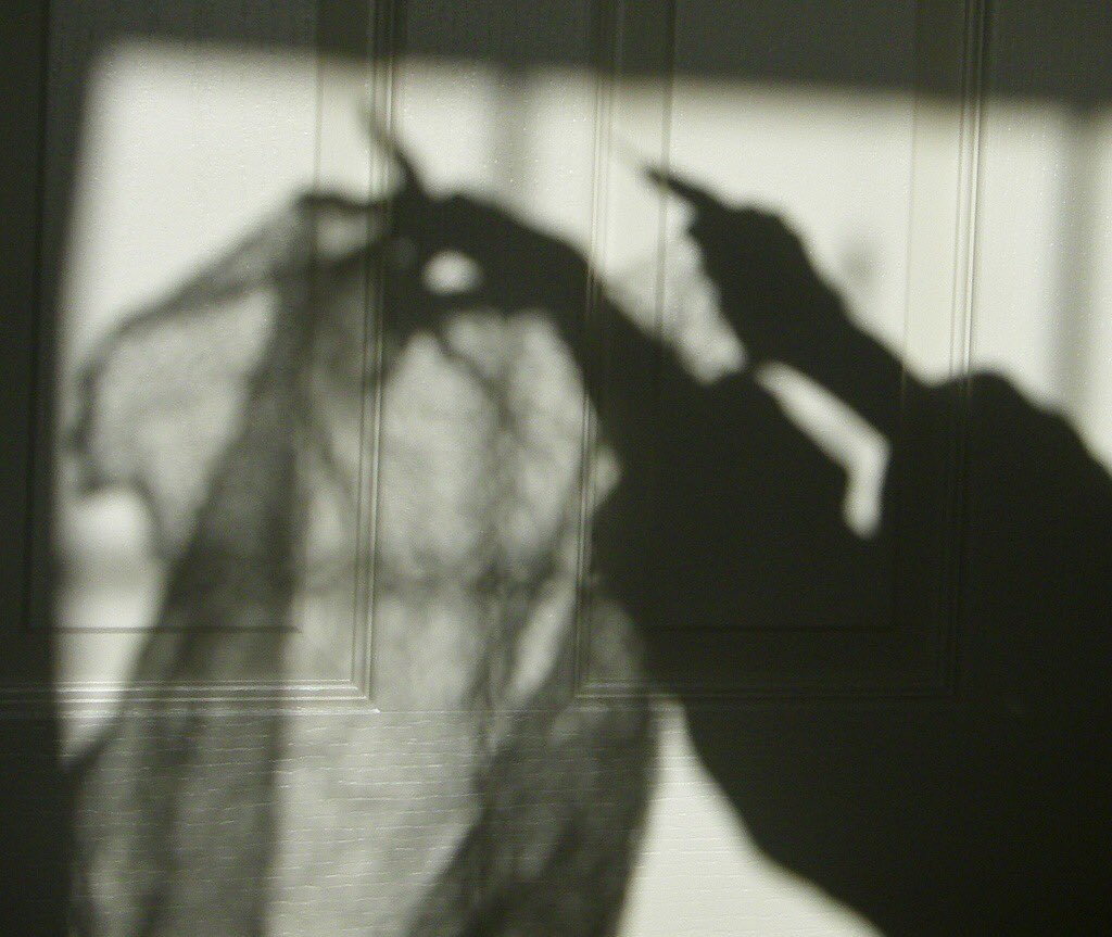 “She wore poetry”

 Vladimir Nabokov

Photography © birdlouise ~ flickr