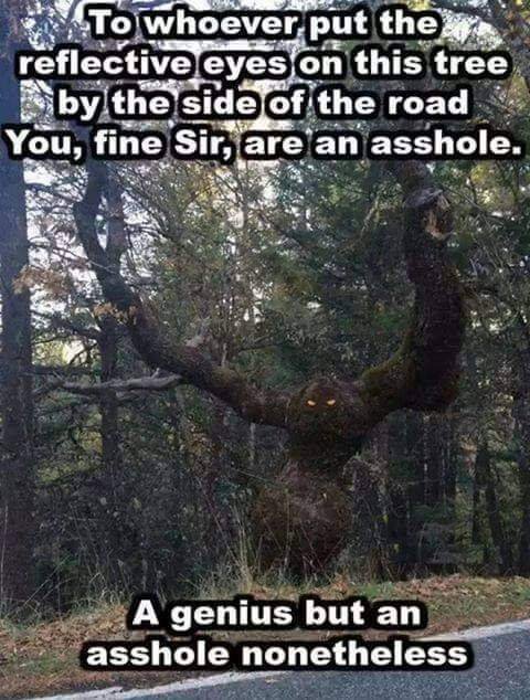 Franki3W's tweet photo. #SPNFamily #WalkerFamily
#Supernatural #YellowEyes #scaryTree #RoadsideHorror #Ghostface #DemonTree #MonsterEyes #GeniusAsshole #CallTheWinchesters https://t.co/jUYtWS00YH