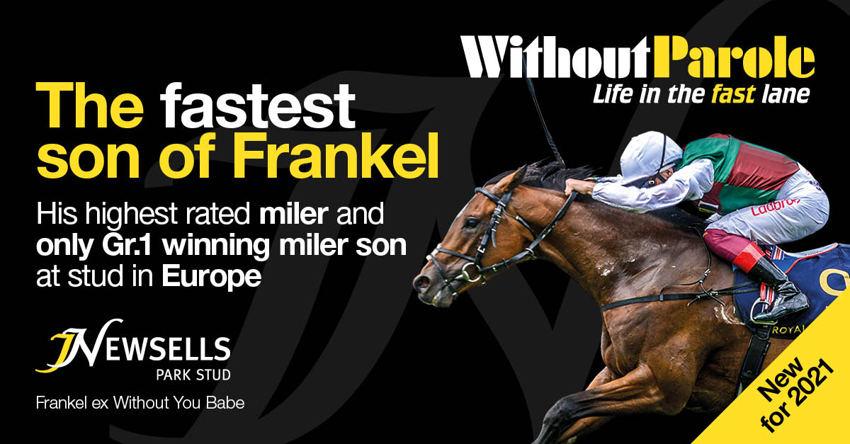 newsellspark's tweet photo. Late-foaling mare without a stallion? Consider #WithoutParole #FastestSonofFrankel. Mares tested in-foal 🍾 include #BeyondTheSea (Sea The Stars) & #ChurchOnTime (Honor Code), two half-sisters to Gr.1 American Oaks winner & 5-time Graded stakes performer COMPETITIONOFIDEAS https://t.co/yRSNcxFieD