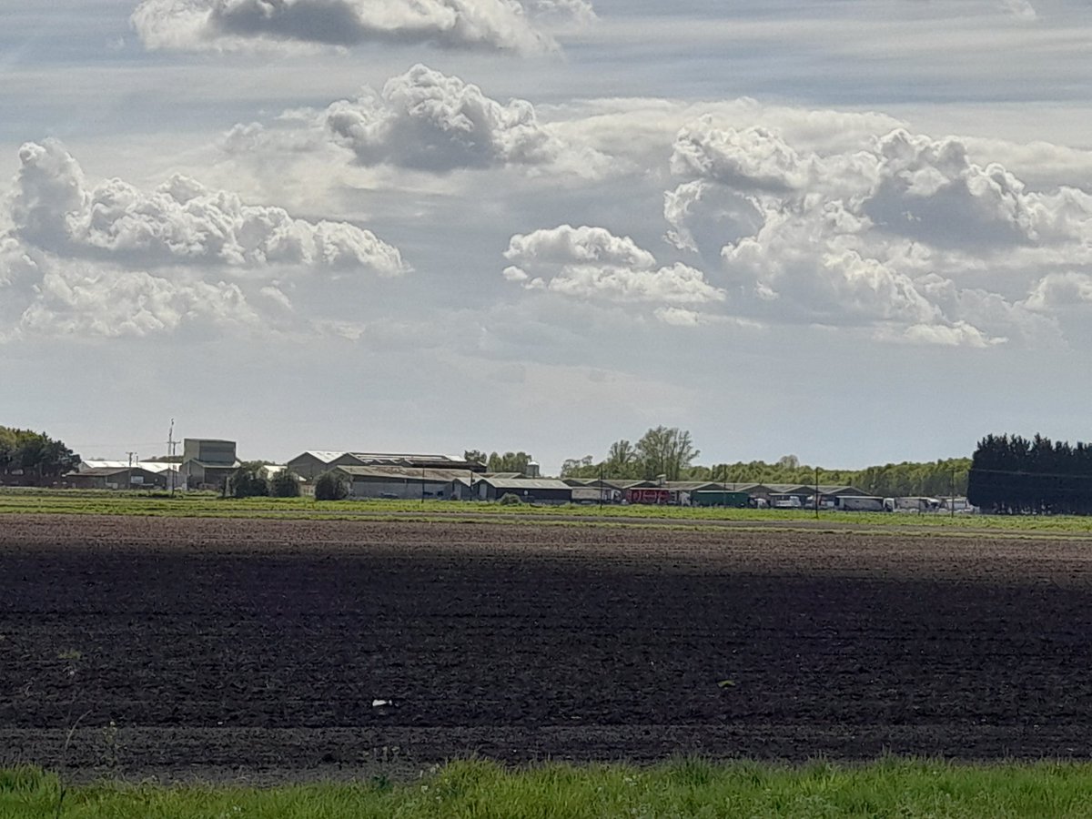 4peatssake2's tweet photo. Europe's largest peat processing factory #Hatfield Mill #Doncaster next to #HatfieldMoors SSSI Zoom in on the line of lorries ready to transport hundreds of thousands of litres of 'compost' away to garden centres & horticultural businesses😭 Industry codes worthless #BanPeatSales https://t.co/1s0x2fBKh9