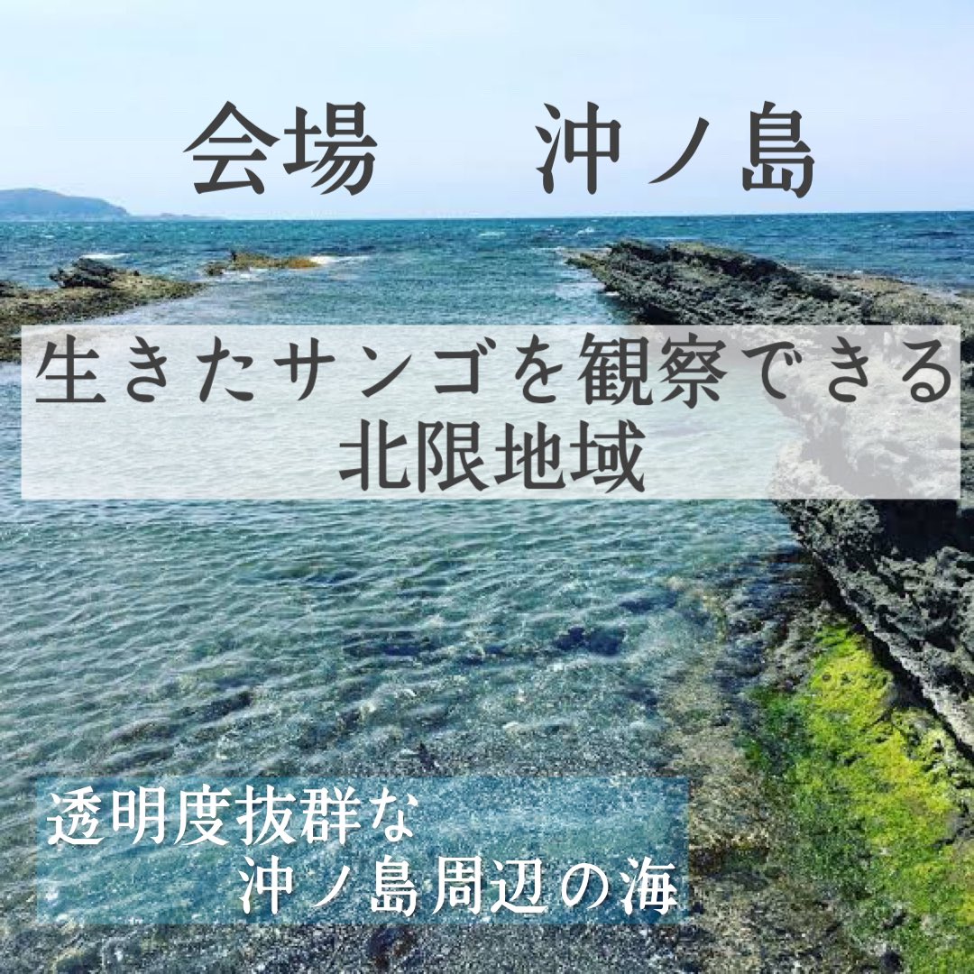 kaoru890605's tweet photo. コミュニティ型自給自足アカデミー
自然の中で楽しみながら生きる方法を
地域の先輩がたから伝授してもらって
自分の知恵にする🙌
東京からの参加者が多くて、豊かさの変化を感じるなぁ🤭

https://t.co/a6TWfgagjs

#自給自足
#田舎暮らし
#生きる知恵 https://t.co/S0284zw0eu