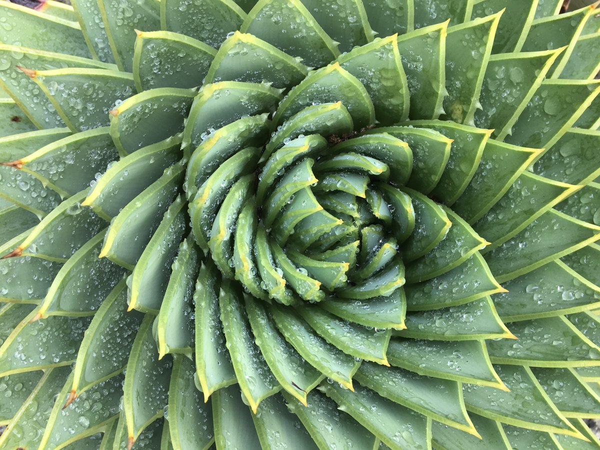 HilaryCottam's tweet image. What could a New Relationship between Local State and Community look like_ and how would it enable deep social change?  
Grateful to @TNLComFund and the many who joined me in this enquiry which you can read here bit.ly/RadicalWay