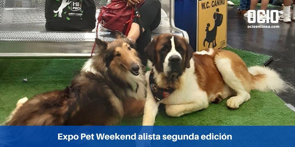 Este 15 y 16 de mayo se llevará a cabo la segunda edición de la Expo Pet Weekend, un evento que busca congregar a las principales marcas en lo que respecta a las mascotas y el bienestar animal en las instalaciones de Expo Guadalajara ocioenlinea.com/mascotas/expo-…
