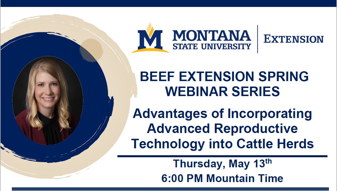 Join us tonight to hear from Taylor Grussing with Vytelle, a bovine advanced reproductive services company specializing in hormone-free in vitro fertilization with laboratories based in Oregon, Iowa, Kansas, and Ohio.  montana.webex.com/wbxmjs/joinser…