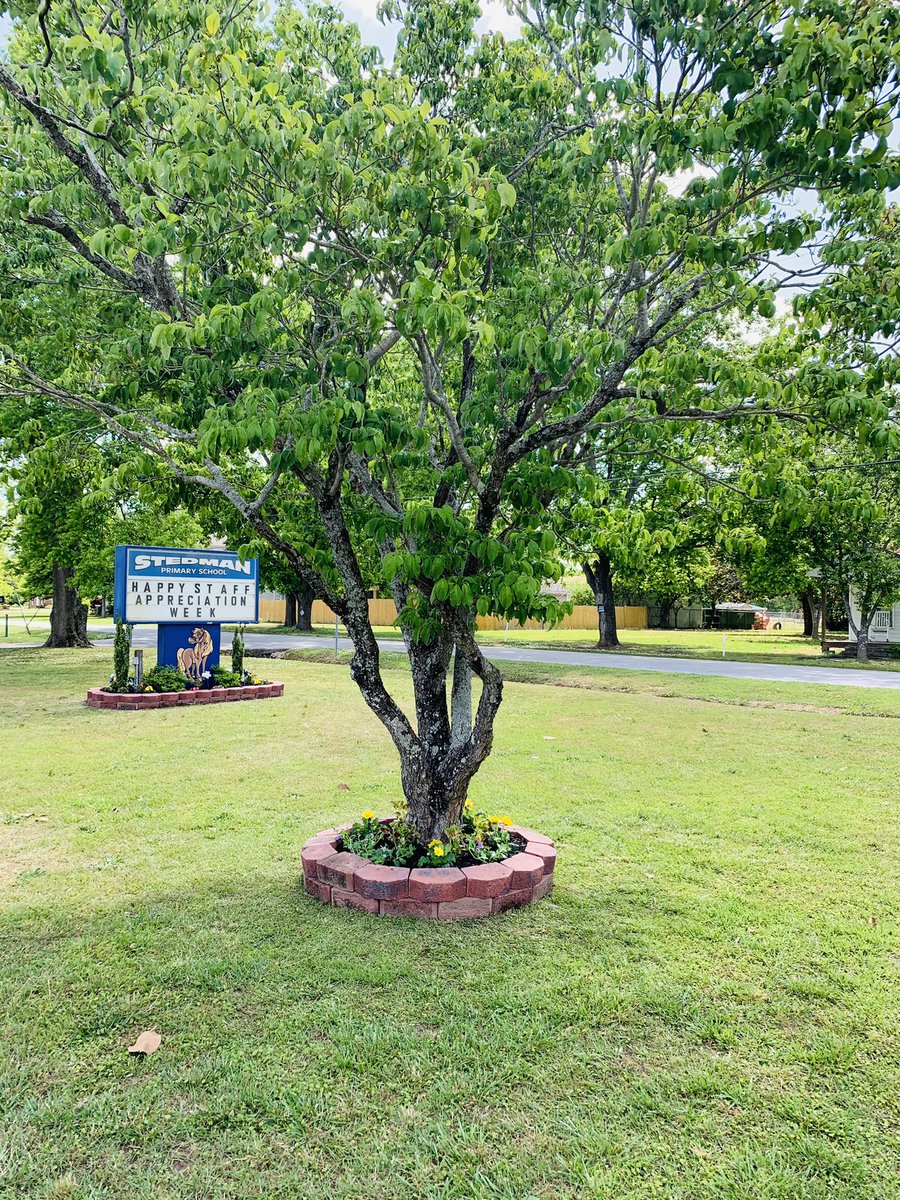 StedmanPonies's tweet photo. Thank you Lowe’s, Scott’s and Bonnie’s Plants for your donations and school beautification project today at Stedman Primary! https://t.co/4W0pHU4xyt