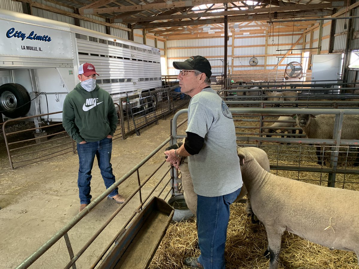 IVCC Agriculture tweet media