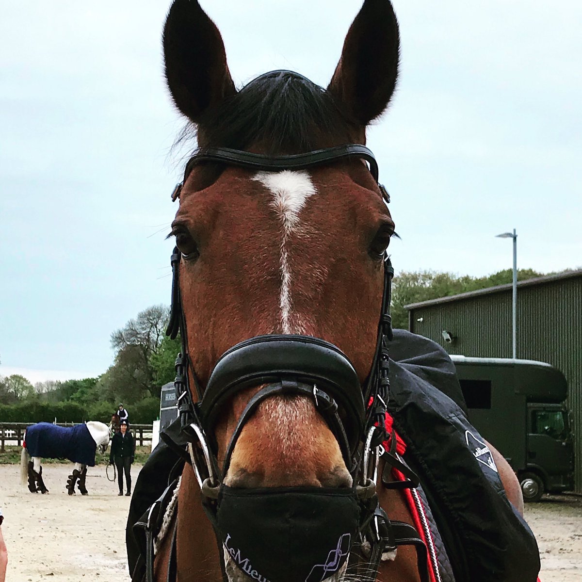 Make sure that mask is over your mouth and nose people! <a href="/My_Equine/">Myerscough College</a> #covidsafepony #belikeroko
