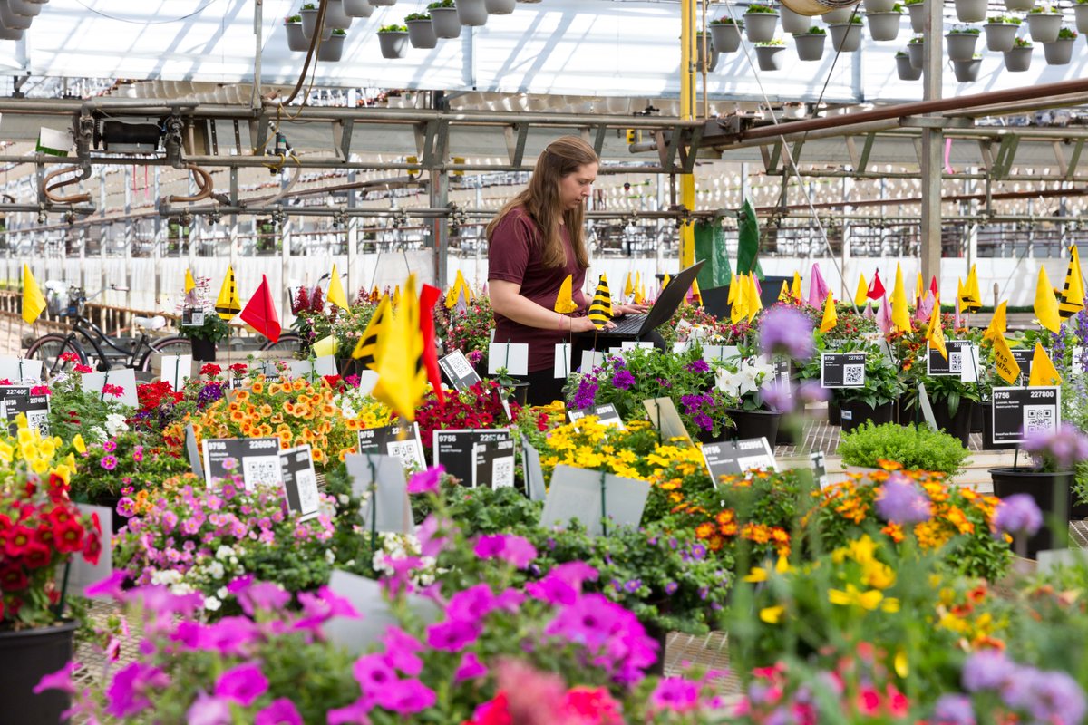 As our 2021 trial garden continues to grow outside, our R&D team continues their multi-step evaluation process on new plant  varieties .
Trial items are checked for height, color and overall health as they mature. 
#metrolinatrials #researchteam #plantresearch #trialgarden