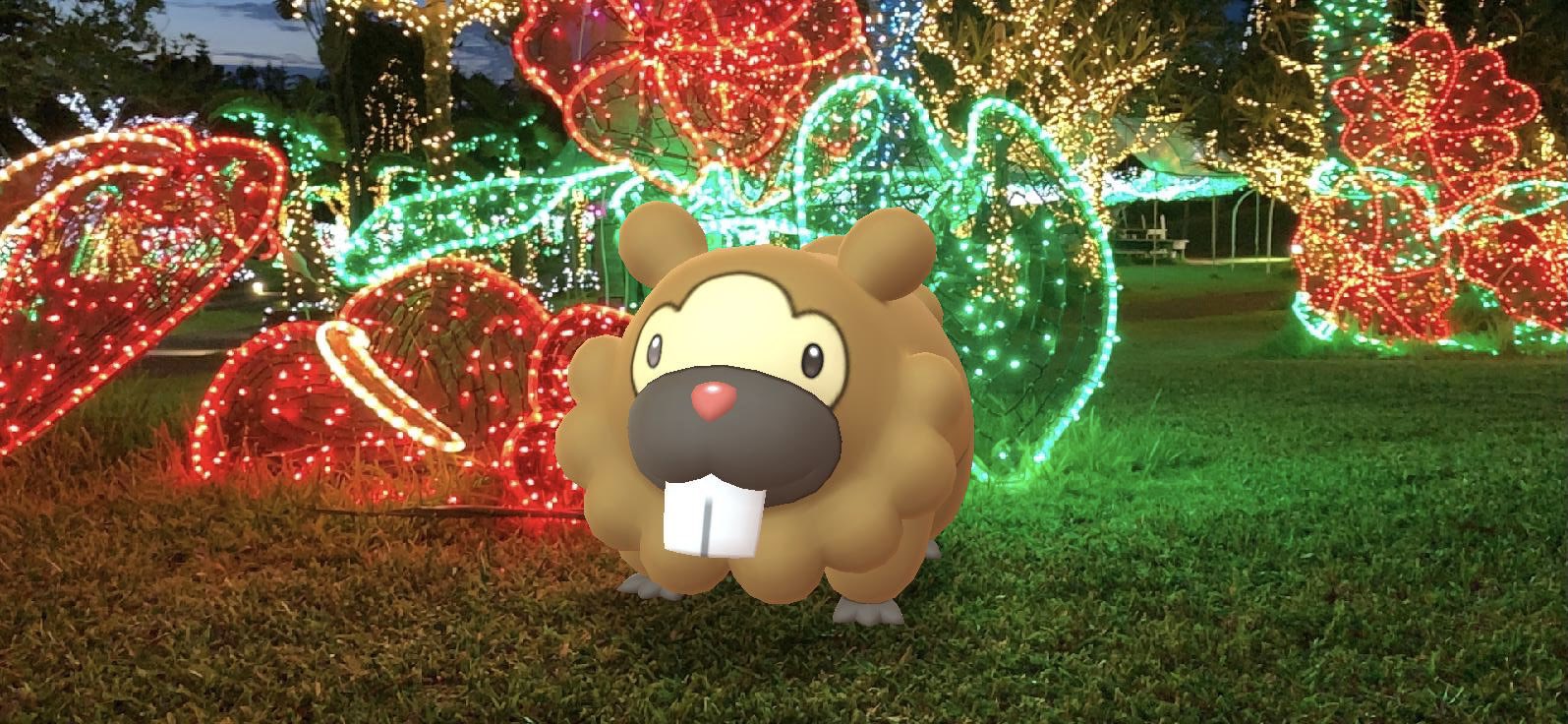 こめっしー ポケモンスナップ全く進んでないけどarで再現したくて東南植物楽園へ カイロスの笑顔撮るの激むずで動画切り取りました Newポケモンスナップ Gosnapshot Aroftheday Nofilterarfriday T Co 8cnto0zlsb Twitter