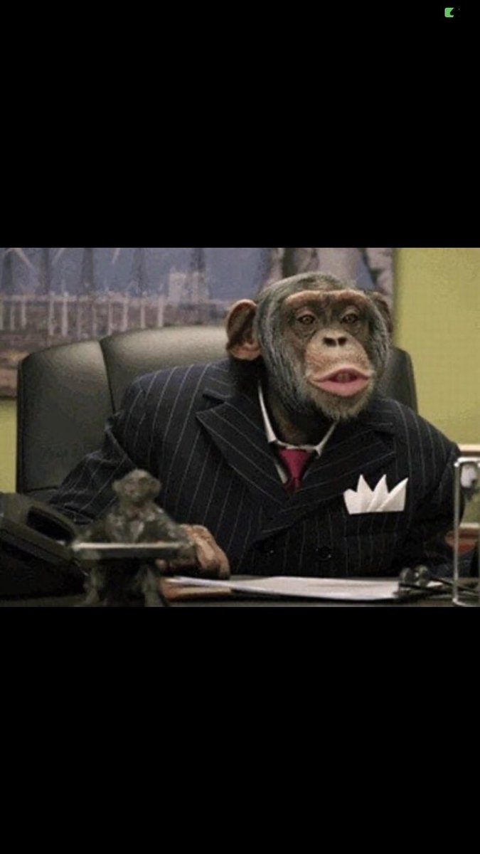 Best time to ape into MOONMOON before takeoff! Tg-MoonMoonCash.

IDO-Launchpad soon🤑
<a href="/MoonMoonCash/">MoonMoon.cash</a> <a href="/elonmusk/">Elon Musk</a> <a href="/cz_binance/">CZ 🔶 BNB</a> 
#SAFEMOON #cryptotwitter #dogecoin #Doge #Elon #Vitalik #cryptocurrency #Binance #MOONMOON #moonmooncash #DeFi