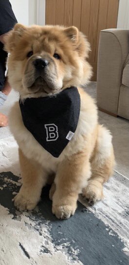 LynnBuchanan tweet media