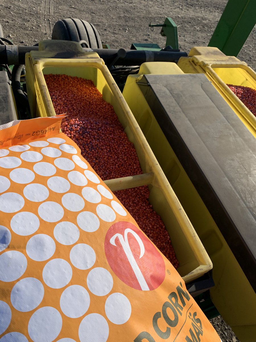 EnsQualitySeed's tweet photo. Custom planting @PRIDESEEDS A4646G2 grain corn today. Excited to see this one! #plant21 #graincorn #dualpurpose https://t.co/buIDtihNJP