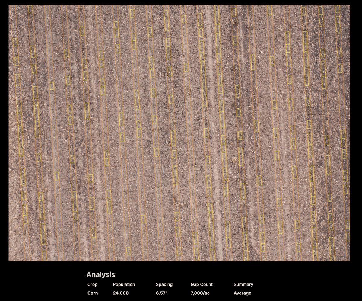 DroneDeploy's tweet photo. Our #Agriculture Account Executive, Kyle Miller, captured a 40-acre field using DroneDeploy Stand Assessment. Check out the early (V1-V2) stand counts! 🌽 https://t.co/h3hVvrTg5v #plant21 #DDstandcount https://t.co/IF0218Oe5a
